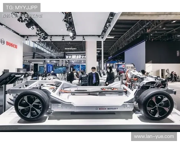 南京飞盘队的转型之路：从传统到创新的全新挑战与机遇