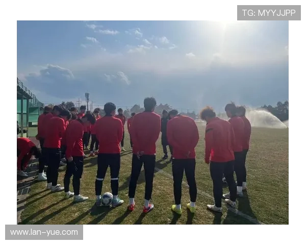 武汉足球队拼搏历程揭秘：世界杯预选赛背后的奋斗与梦想