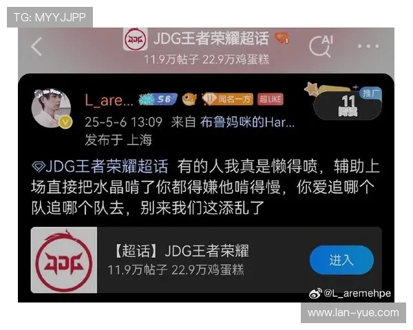 王者荣耀热议JDG个人能力引发的争议与讨论分析