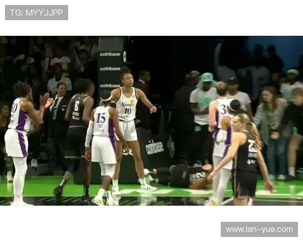 华盛顿神秘队与洛杉矶火花队巅峰对决精彩回顾与赛季展望