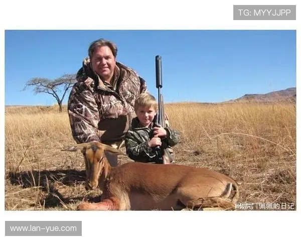 掠夺者与企鹅的生存斗争揭示自然界的残酷法则与生态平衡的重要性 掠夺者与企鹅的生存斗争揭示自然界的残酷法则与生态平衡的重要性